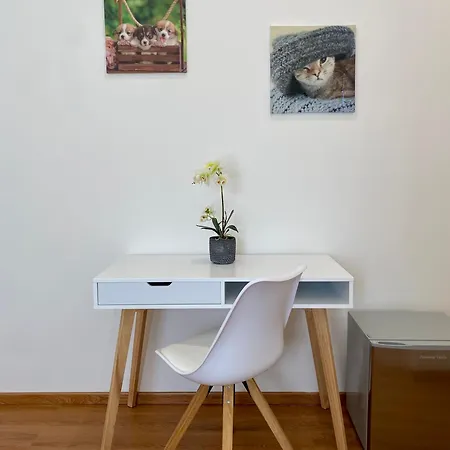 Zulie Guest house Olbia